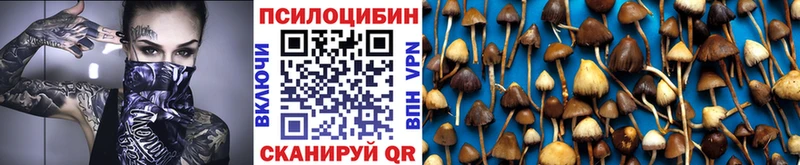 Псилоцибиновые грибы Psilocybe  Алексин 